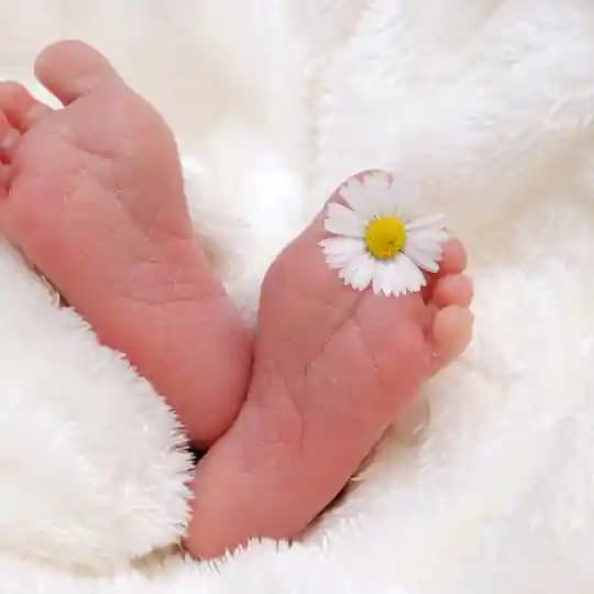 baby in basket with flowers